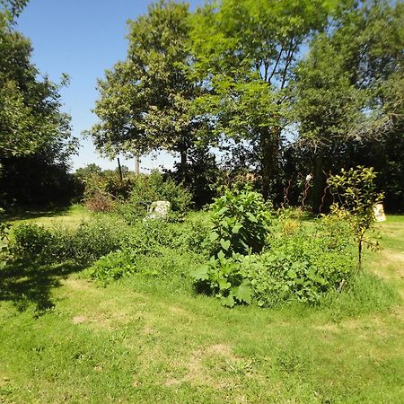 Tranquille Vienne Gites A Chirac Dept Charente Экстерьер фото