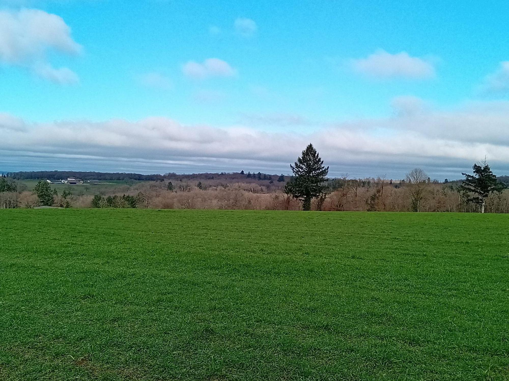Tranquille Vienne Gites A Chirac Dept Charente Экстерьер фото